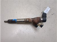 166006212R Форсунка топливная Renault Megane 3 2009-2016 20412860 #1