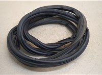  Уплотнитель Nissan Murano 2008-2015 20412940 #1