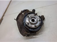  Ступица (кулак, цапфа) Hyundai Santa Fe 2005-2012 20413010 #1