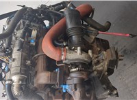 504167983 Двигатель (ДВС) Iveco Daily 4 2005-2011 20413636 #9