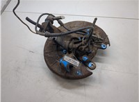 517619, 374868 Ступица (кулак, цапфа) Peugeot 406 1999-2004 20413841 #3
