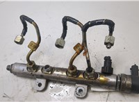 Рампа (рейка) топливная Land Rover Range Rover Sport 2005-2013 20413907 #4