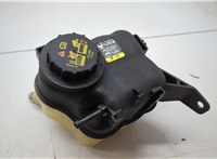 AG1Z8A080S Бачок расширительный Ford Explorer 2015-2019 20414085 #5