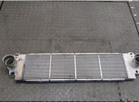  Радиатор интеркулера Volkswagen Transporter 5 2003-2015 20415402 #1