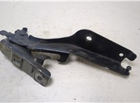 Петля капота Infiniti QX70 20415420 #1