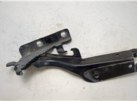  Петля капота Infiniti QX70 20415420 #4
