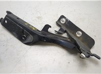  Петля капота Infiniti QX70 20415421 #1