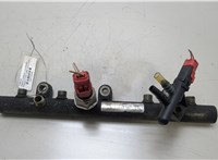  Рампа (рейка) топливная Peugeot 406 1999-2004 20415840 #1
