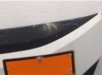  Капот Iveco EuroCargo 3 2015- 20416003 #2