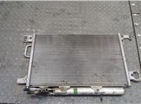  Радиатор кондиционера Mercedes C W203 2000-2007 20416513 #1