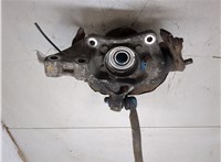 4320247010, 4351047010 Ступица (кулак, цапфа) Toyota Prius 2003-2009 20416523 #7