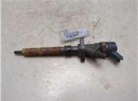 1980H4 Форсунка топливная Citroen C5 2001-2004 20416594 #1