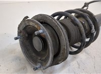  Амортизатор подвески BMW 3 E90, E91, E92, E93 2005-2012 20416636 #4