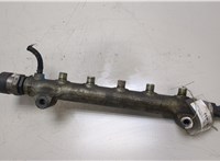 Рампа (рейка) топливная Hyundai Tucson 1 2004-2009 20417559 #1