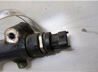  Рампа (рейка) топливная Hyundai Tucson 1 2004-2009 20417559 #4