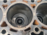  Блок цилиндров (Шорт блок) Hyundai Tucson 1 2004-2009 20417572 #10