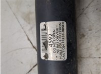  Амортизатор подвески Citroen Xsara-Picasso 1999-2012 20418049 #3