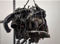  Двигатель (ДВС) Nissan Navara 2005-2015 20418613 #3