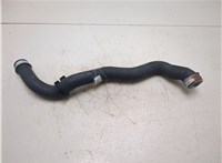  Патрубок охлаждения Mercedes S W221 2005-2013 20418965 #1
