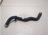  Патрубок охлаждения Mercedes S W221 2005-2013 20418965 #3