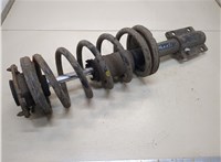  Амортизатор подвески Fiat Ducato 1994-2006 20419484 #1