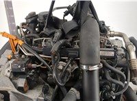 076100031B, 076100091BX Двигатель (ДВС) Volkswagen Crafter 2006-2016 20419499 #11