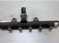 8200669695 Рампа (рейка) топливная Renault Megane 3 2009-2016 20419695 #1