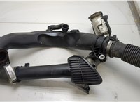  Патрубок интеркулера Renault Megane 3 2009-2016 20419696 #1