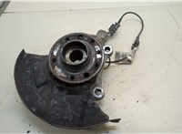  Ступица (кулак, цапфа) Opel Vectra C 2002-2008 20419893 #1