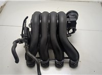  Коллектор впускной Volkswagen Passat 5 2000-2005 20420120 #1