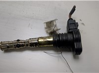  Катушка зажигания Volkswagen Passat 5 2000-2005 20420128 #1