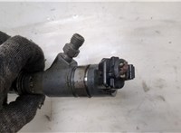 0986435248 Форсунка топливная Iveco Daily 6 2014- 20420586 #2