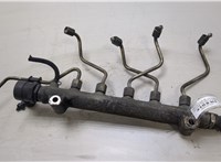  Рампа (рейка) топливная Hyundai Santa Fe 2005-2012 20420769 #1