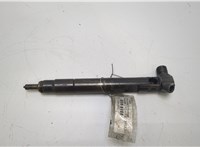  Форсунка топливная Mercedes C W204 2007-2013 20420852 #1