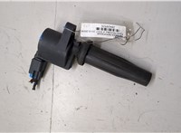5047437 Катушка зажигания Ford Mondeo 4 2007-2015 20420926 #4
