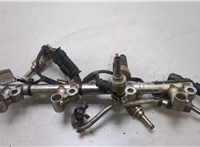 A2710720043, A2710705595 Форсунка топливная Mercedes C W204 2007-2013 20421093 #1