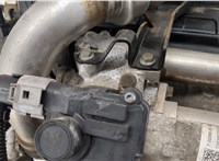  Форсунка топливная Renault Scenic 2003-2009 11404114 #13