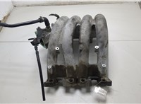  Коллектор впускной Volkswagen Passat 5 1996-2000 20421421 #1