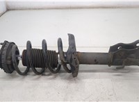  Амортизатор подвески Honda Civic 2006-2012 20421498 #4