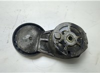 Натяжитель приводного ремня Saab 9-5 2005-2010 20421768 #2