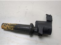 5047437 Катушка зажигания Ford Mondeo 4 2007-2015 20421815 #1