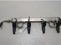 1149958, 1S7G9F593GA, 1356996, 4M5G9H487HB Форсунка топливная Ford C-Max 2002-2010 20421841 #1