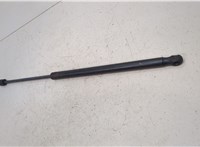  Амортизатор крышки багажника Saab 9-7X 20422552 #2