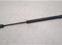 1L24-16C826-AB Амортизатор капота Ford Explorer 2001-2006 20422555 #1