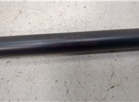 1L24-16C826-AB Амортизатор капота Ford Explorer 2001-2006 20422555 #2