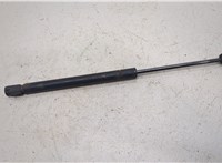 1L24-16C826-AB Амортизатор капота Ford Explorer 2001-2006 20422557 #1