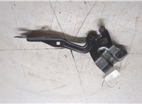 65400JD000 Петля капота Nissan Qashqai 2006-2013 20422559 #4