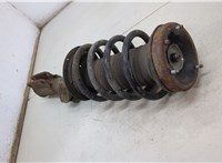  Амортизатор подвески BMW X5 E53 2000-2006 20422676 #3