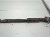  Амортизатор подвески Skoda Rapid 20422708 #1
