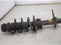  Амортизатор подвески Skoda Rapid 20422730 #1